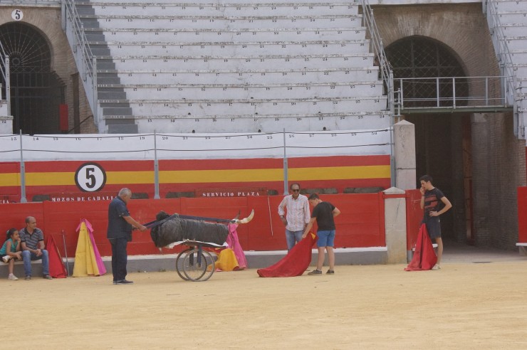 Foto 4/Plaza de todos de las Ventas en Madrid