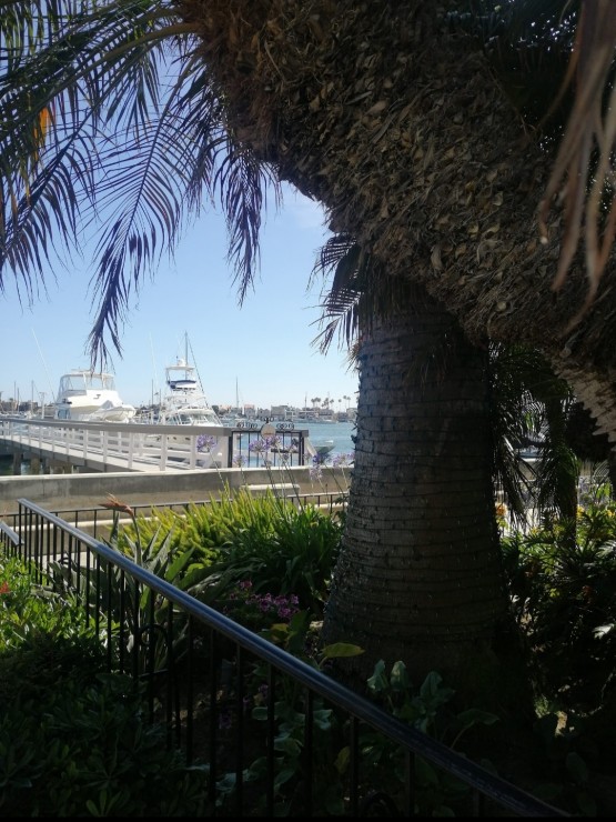 Foto 1/Verano en el puerto.