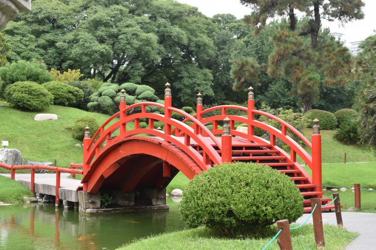 Foto 1/Visita por el jardn japons