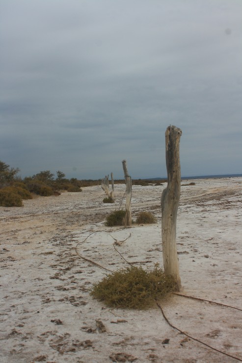 Foto 5/San Jose de Las Salinas