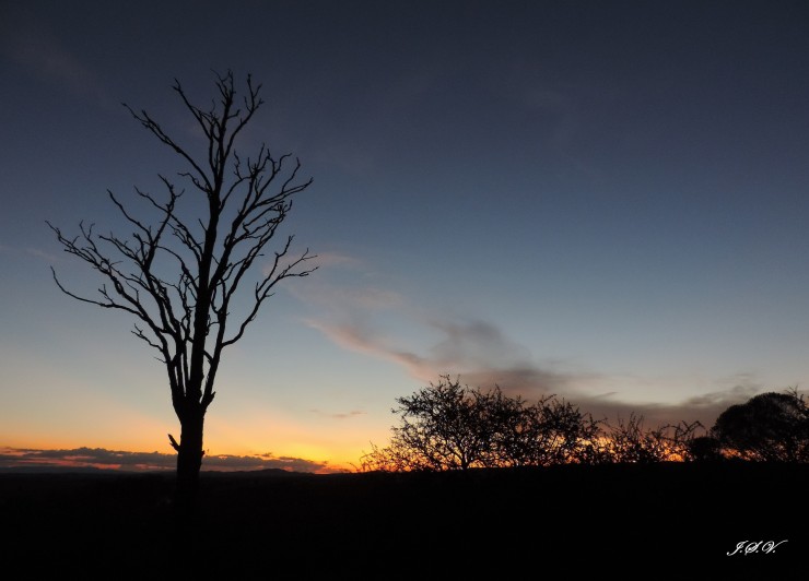 Foto 2/Los Colores del Atardecer