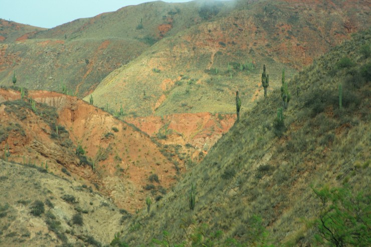 Foto 5/SALTA la linda