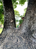 Nia en el parque.