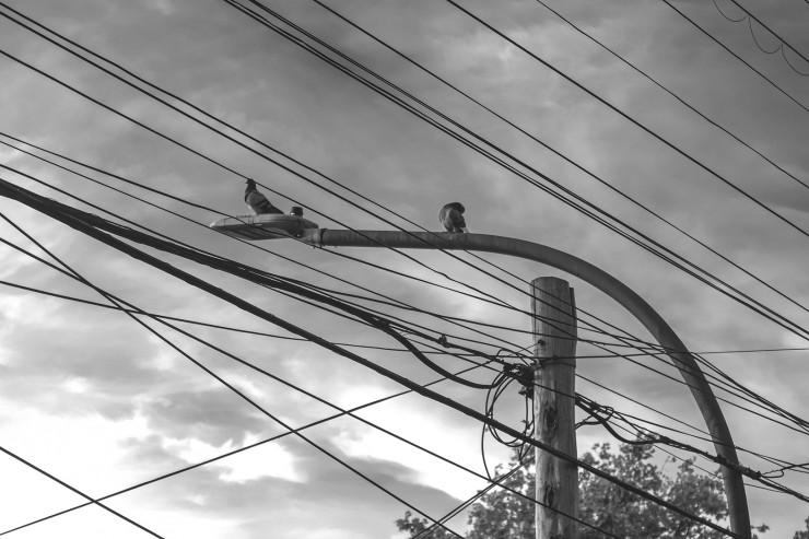 Foto 4/De Aves y Cables