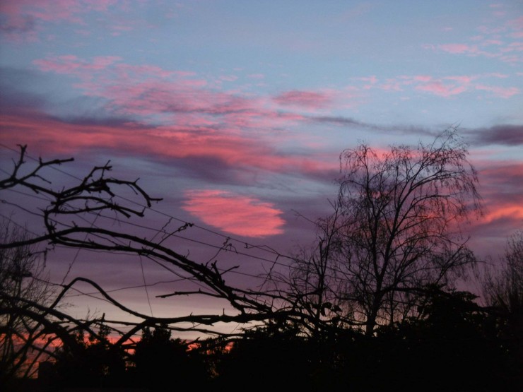 Foto 3/Ocaso de la maana