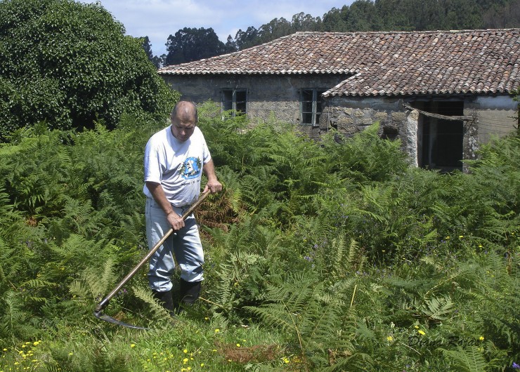 Foto 2/Conociendo la Galicia profunda