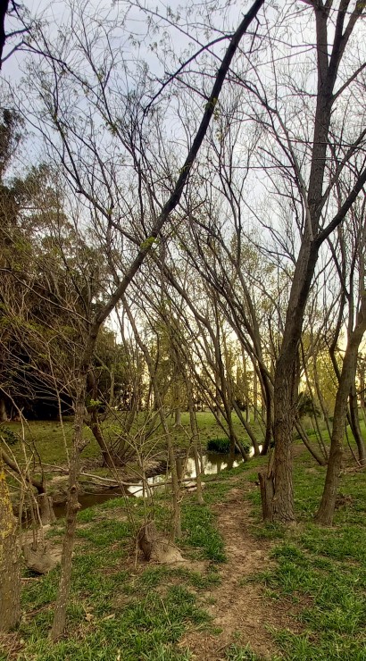 Foto 2/Por la orilla