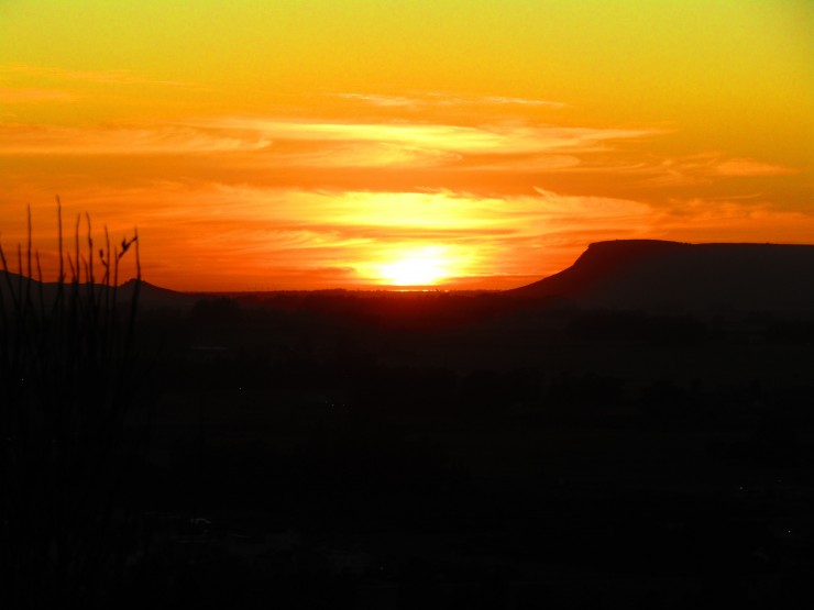 Foto 4/Sol tempranito