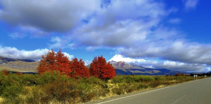 Foto 1/Entrando al bosque