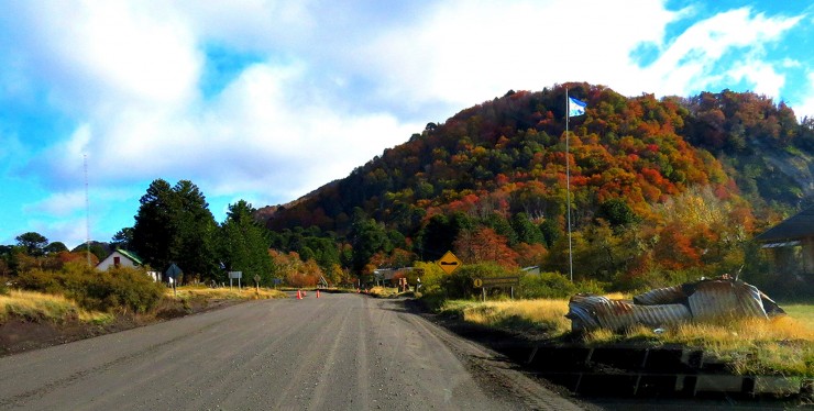 Foto 3/Entrando al bosque