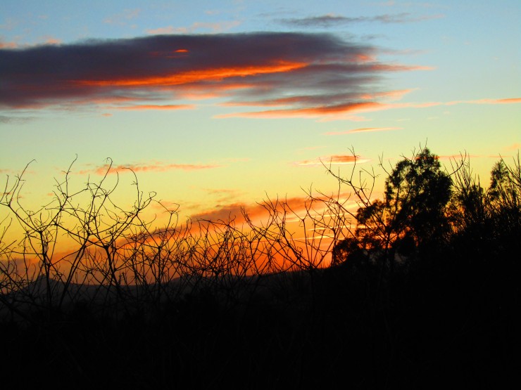 Foto 1/Nubes madrugadoras