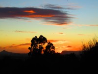 Nubes madrugadoras