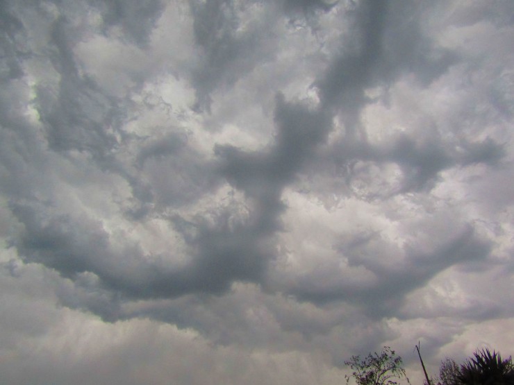 Foto 4/Tarde de tormenta