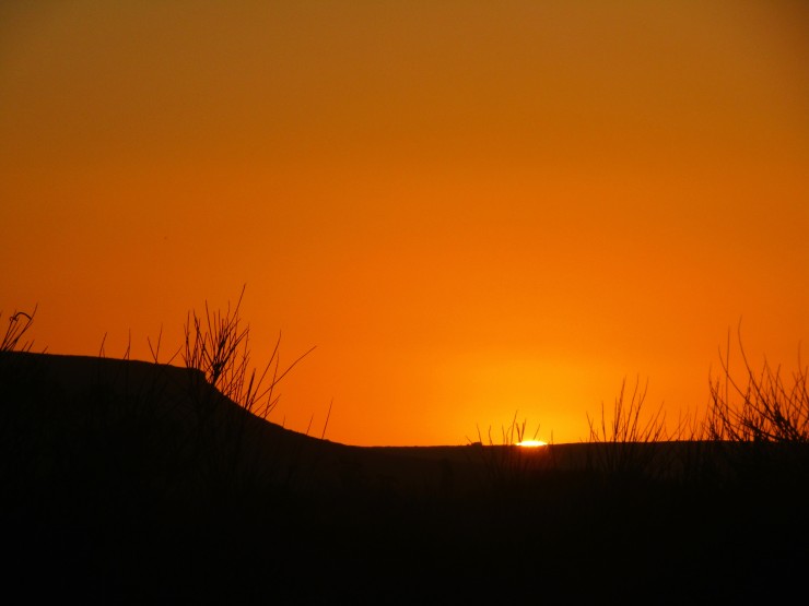 Foto 4/Mirando al oeste 