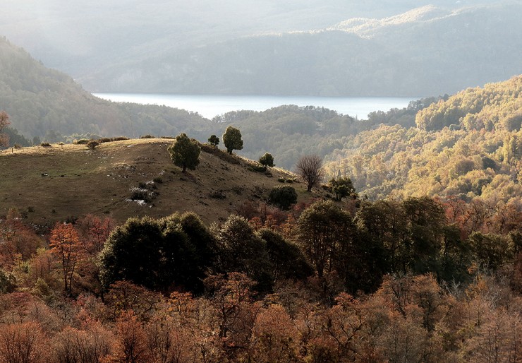 Foto 2/Paseo por el bosque