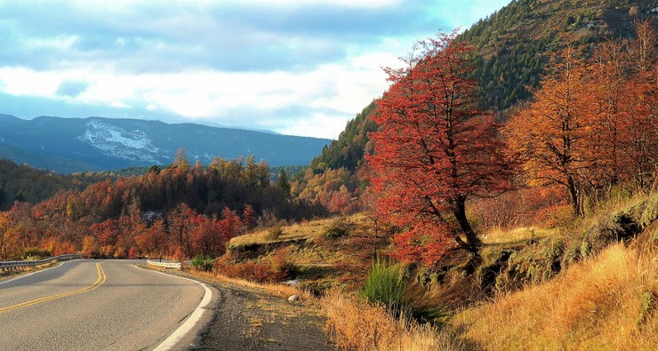 Foto 4/Paseo por el bosque