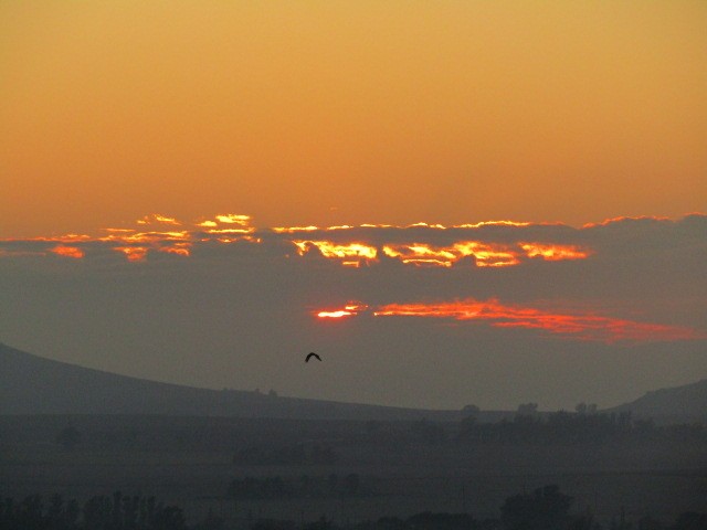 Foto 2/A primera hora