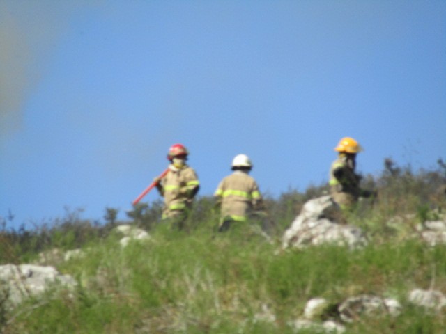 Foto 1/Incendio en la sierra