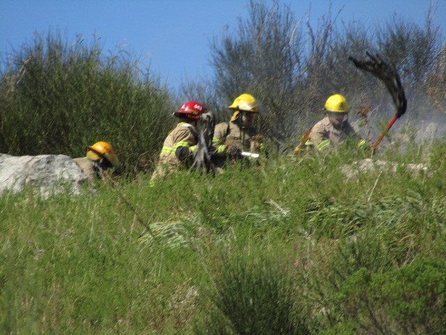 Foto 2/Incendio en la sierra