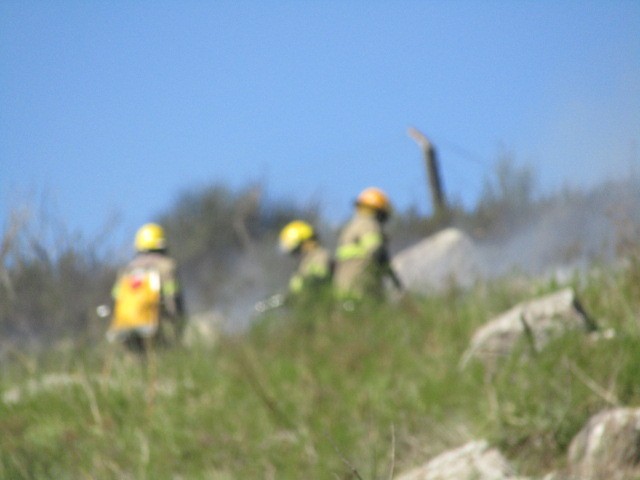 Foto 3/Incendio en la sierra