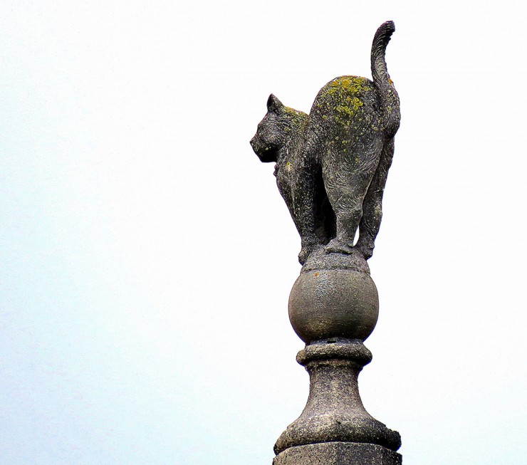 Foto 5/Detalles de la Plaza Mayor de Brujas