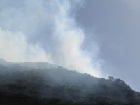 Incendio en la sierra