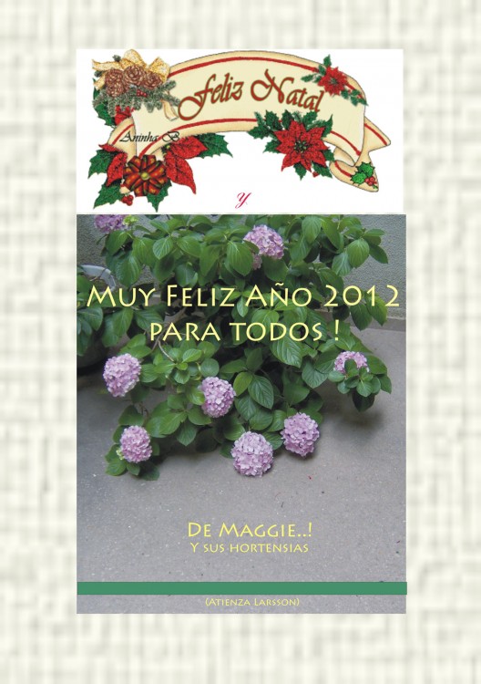 "Feliz Ao Nuevo 2012 ! para todos !!" de Maggie Atienza