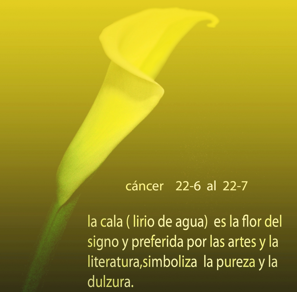 "signo cancer" de Beatriz Di Marzio