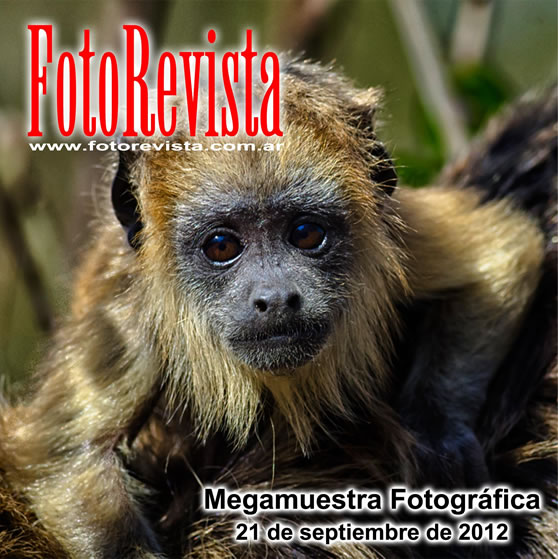 Megamuestra Colectiva / FotoRevista