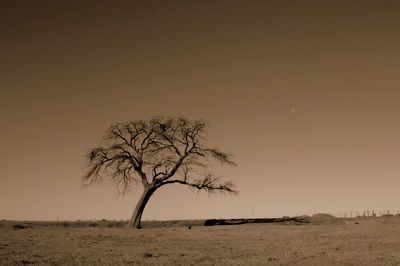 "Querido Caldn..." de Mara De Los ngeles Gervasio