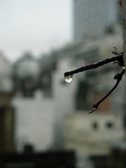 FotoRevista / Convocatoria Mensual / Lluvia