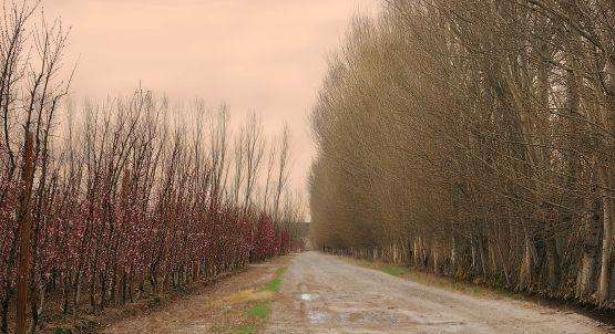 FotoRevista / Convocatoria / ` Calle rural` de Jorge A. Cceres