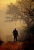 incendios en cordoba