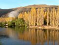 humo en el limay