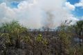 Incendio en el Parque Nacional