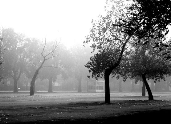 FotoRevista / Convocatoria Mensual / Humo