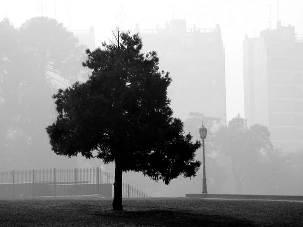 FotoRevista / Convocatoria Mensual / Niebla