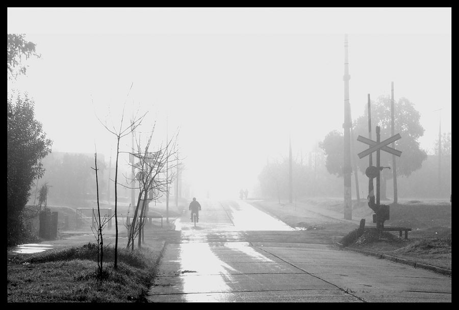 "Neblina" de Ricardo Marcelo Suar