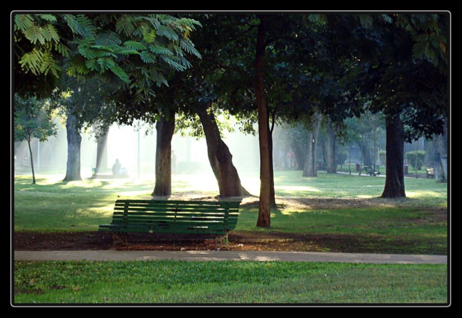 FotoRevista / Convocatoria Mensual / Niebla