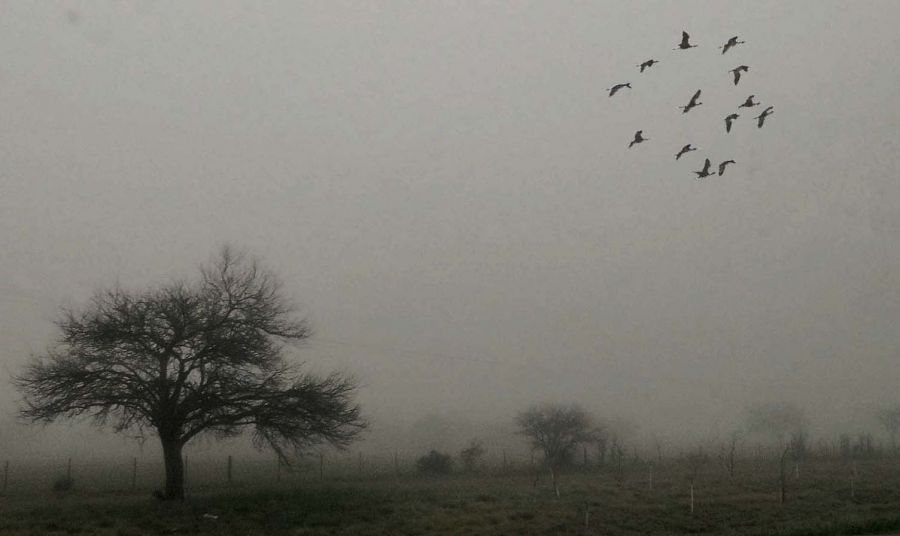 FotoRevista / Convocatoria Mensual / Niebla