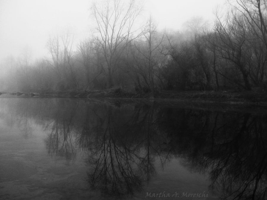 FotoRevista / Convocatoria Mensual / Niebla