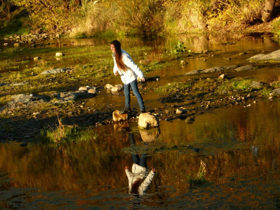 FotoRevista / Convocatoria Mensual / Bosques