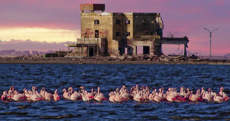 FotoRevista / Convocatoria Mensual / Aves