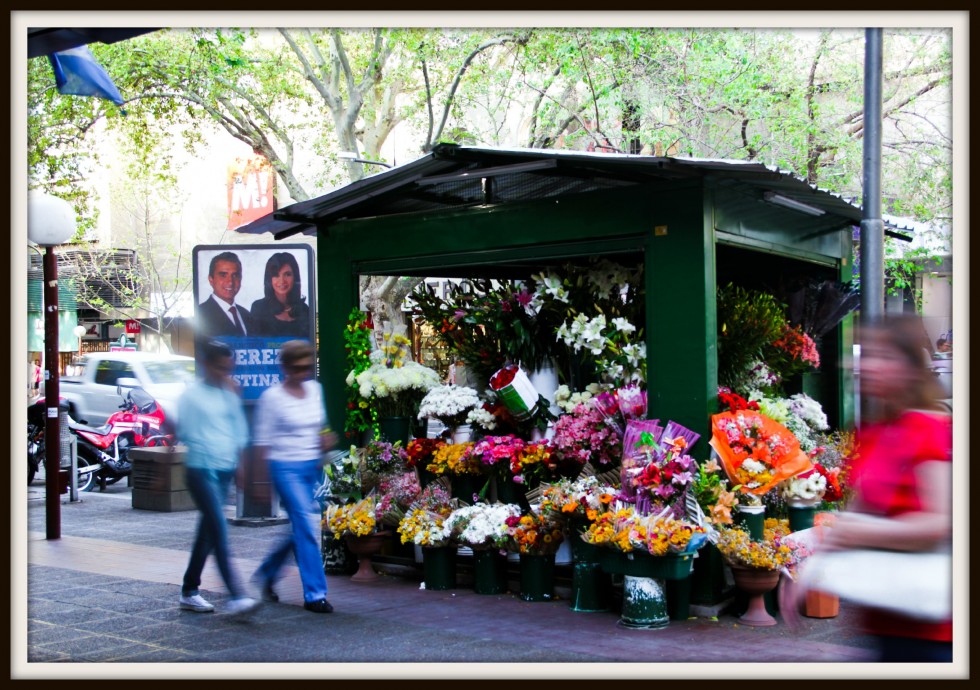 FotoRevista / Convocatoria / Con aroma a floresss......... de Maria Eugenia Cailly (euge)