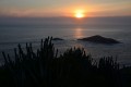 Cactus, cielo y mar