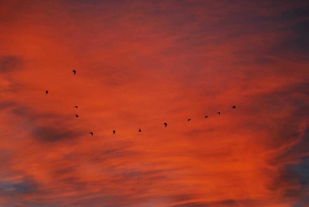 FotoRevista / Convocatoria / Cielo Patagonico de Raul Eliseo Diez