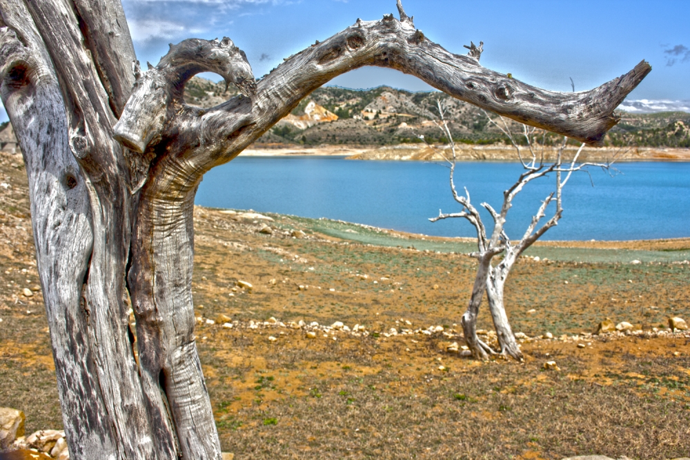 FotoRevista / Convocatoria Mensual / Naturaleza