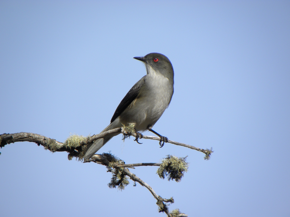 FotoRevista / Convocatoria Mensual / Naturaleza