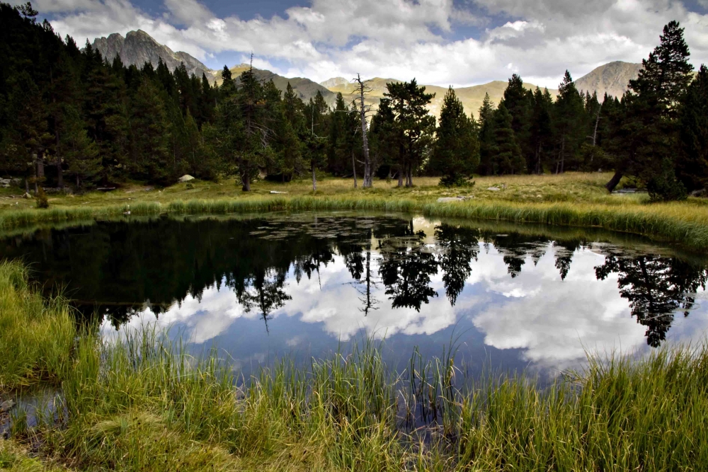 FotoRevista / Convocatoria Mensual / Naturaleza