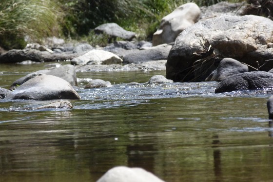 FotoRevista / Convocatoria / Agua de Alejandro Bringas